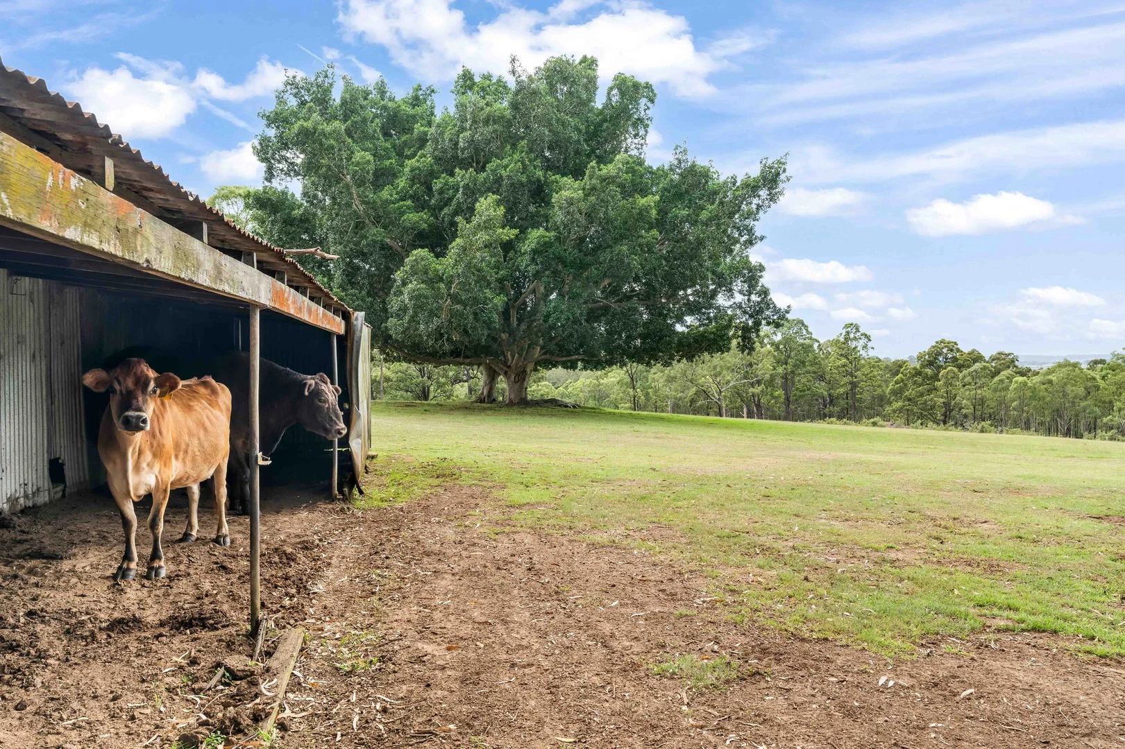 Additional image 28 of 427 Wollombi Road, Farley NSW 2320