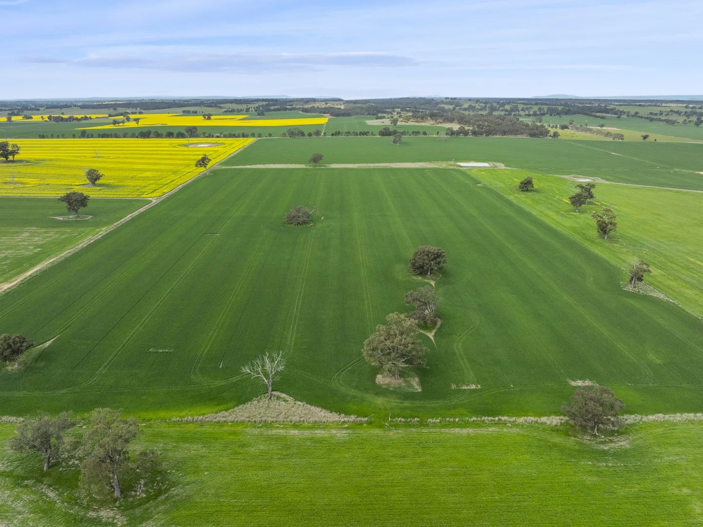 Additional image 4 of 800 Bridge Road, Caniambo VIC 3630