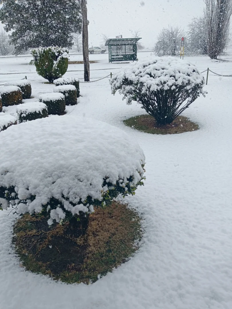 Additional image 25 of 14 Railway Street, Glencoe NSW 2365