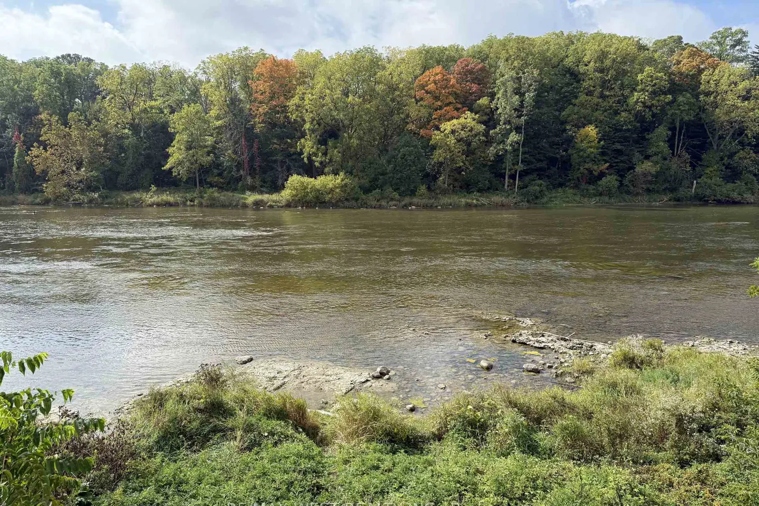 Additional image 4 of 58 Willow Street