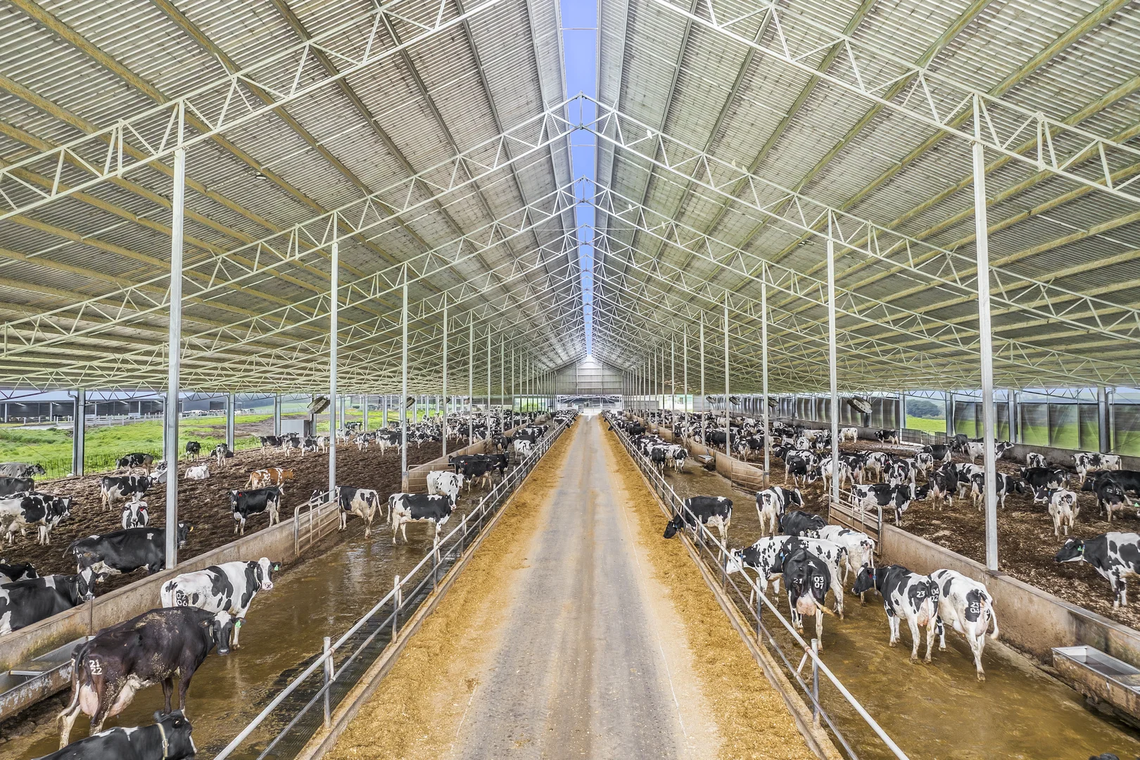 Additional image 2 of 520 Centre Road, Simpson VIC 3266