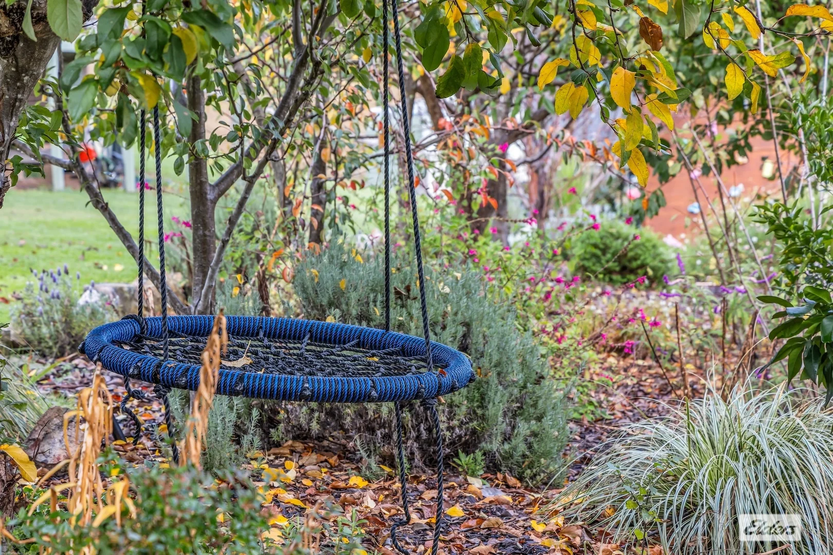 Additional image 18 of 213 Myrtle Mountain Road, Wyndham NSW 2550