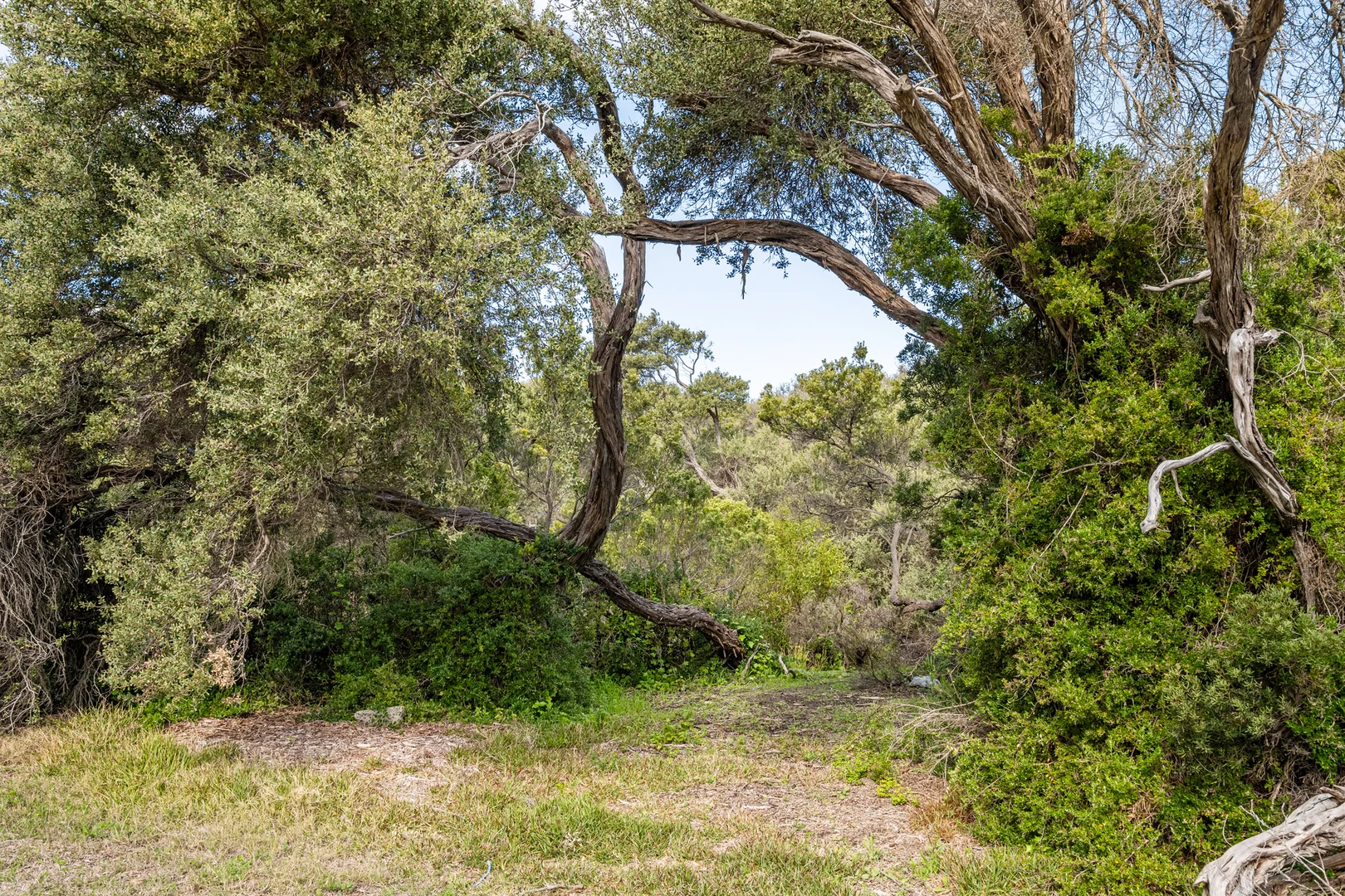Additional image 7 of 213-217 Bass Meadows Boulevard, St Andrews Beach VIC 3941