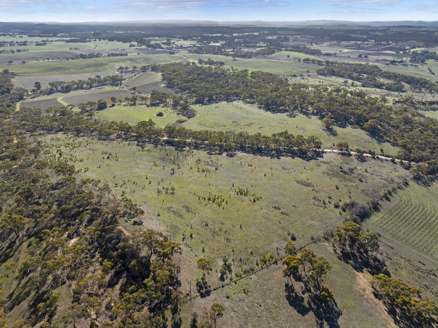 Additional image 5 of Lot 102 Benbournie Road, Armagh SA 5453
