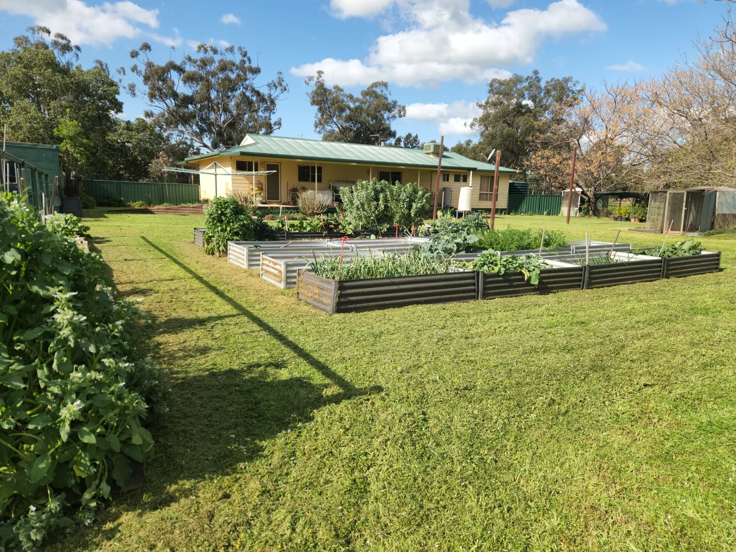 Additional image 5 of 72 Boorr Hill Road, Parkes NSW 2870