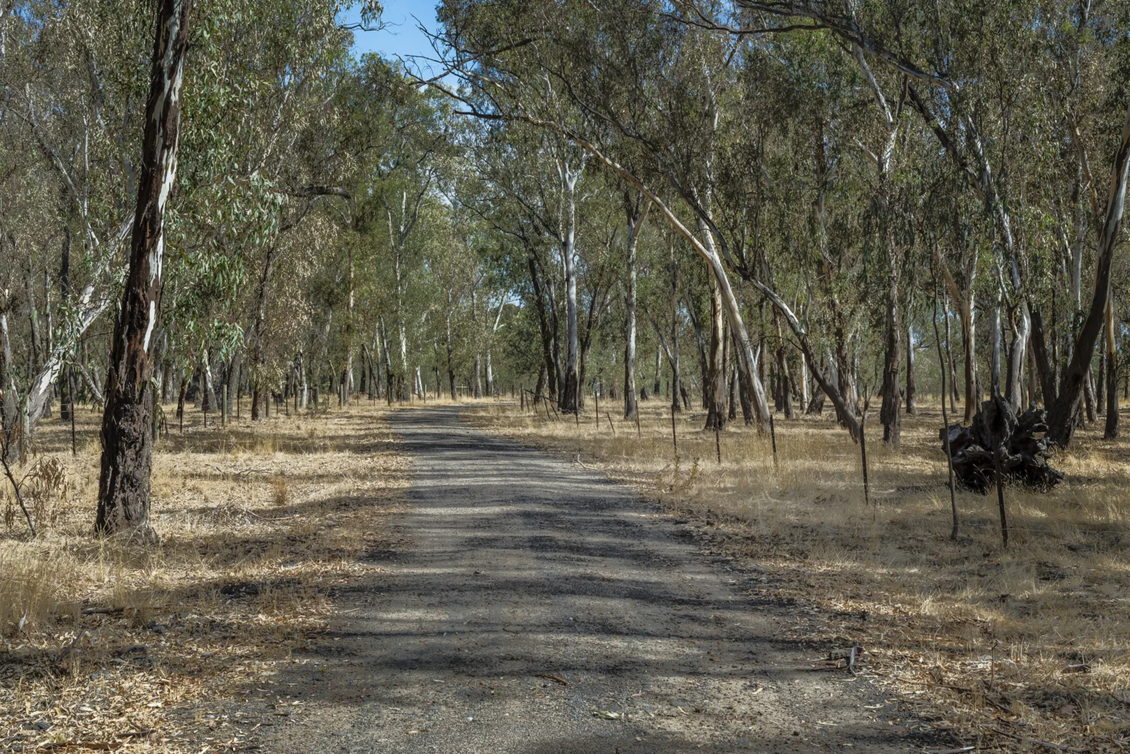 Additional image 3 of 200 Campbells Road, Redesdale VIC 3444