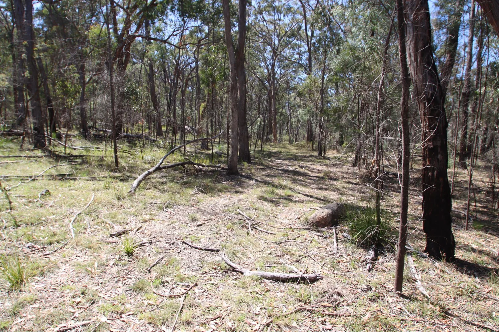 Additional image 24 of Lot 1 Brusharbers Road, Tenterfield NSW 2372