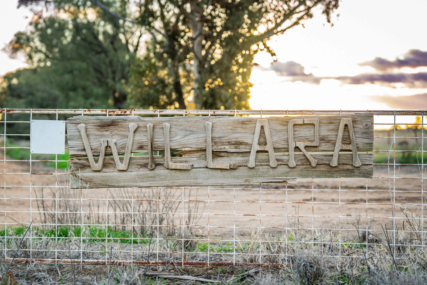 Additional image 2 of 1250 Barracluffs Road, Bidgeemia NSW 2642