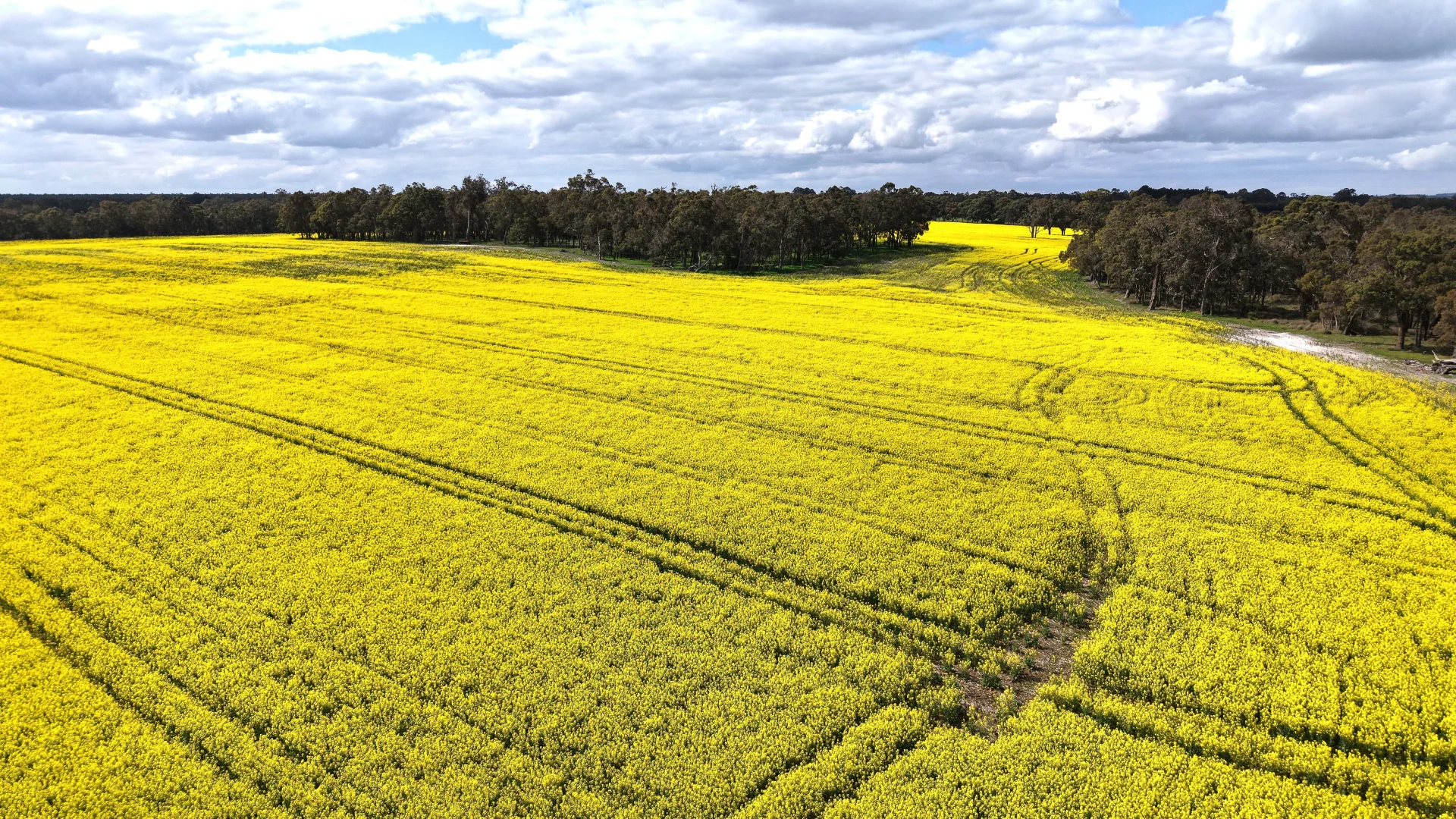 Additional image 6 of 171 Kwornicup Road, Forest Hill WA 6324