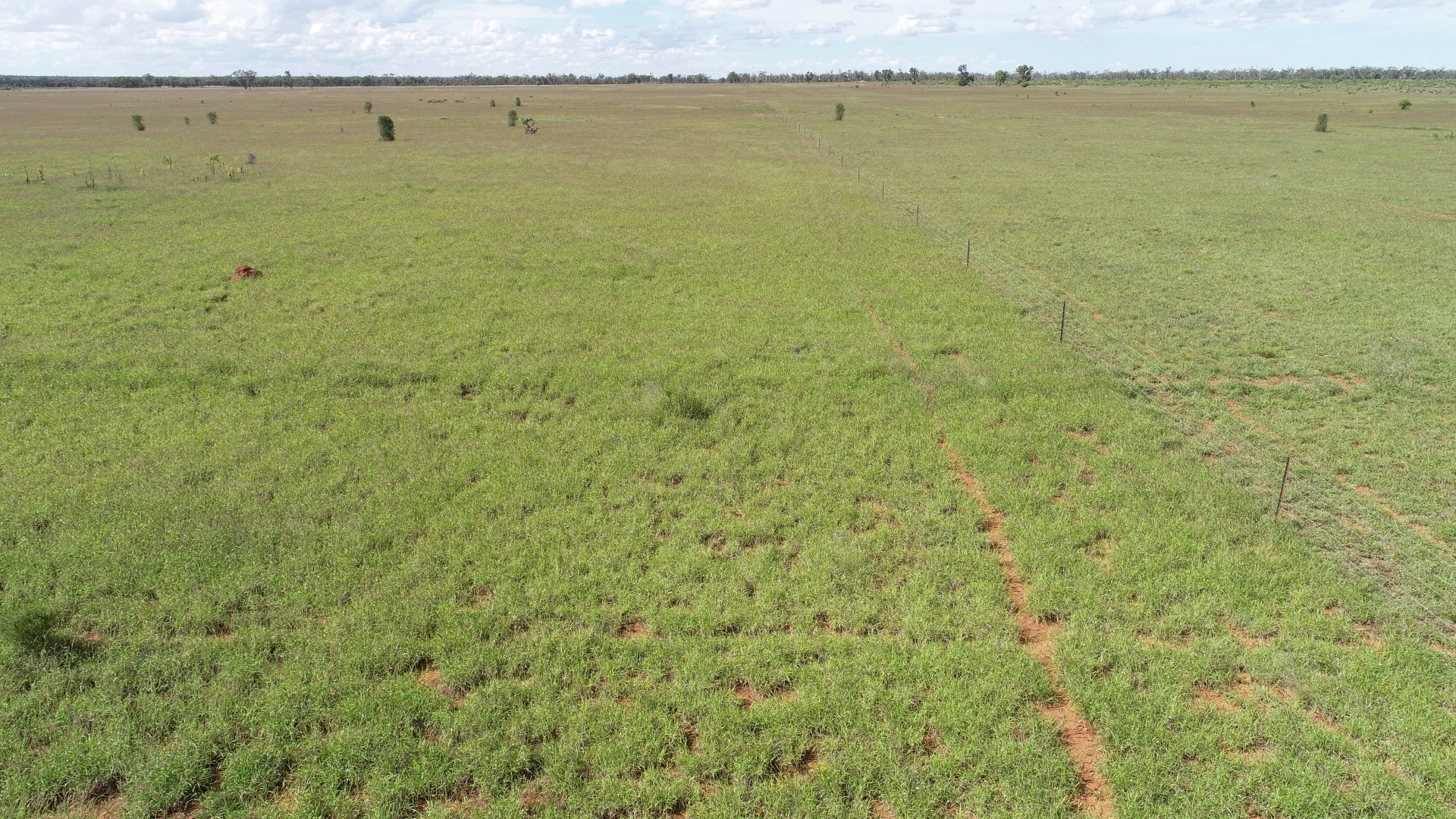 Additional image 3 of 'Ula Ula' 210 Ula Ula Road, St George QLD 4487