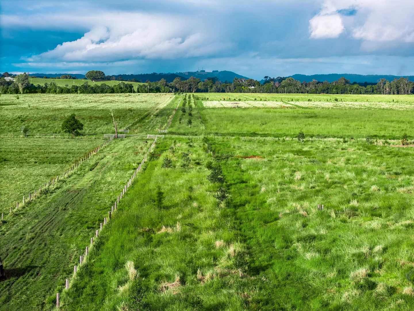 Additional image 50 of 1368 Wyrallah road, Tucki Tucki NSW 2480
