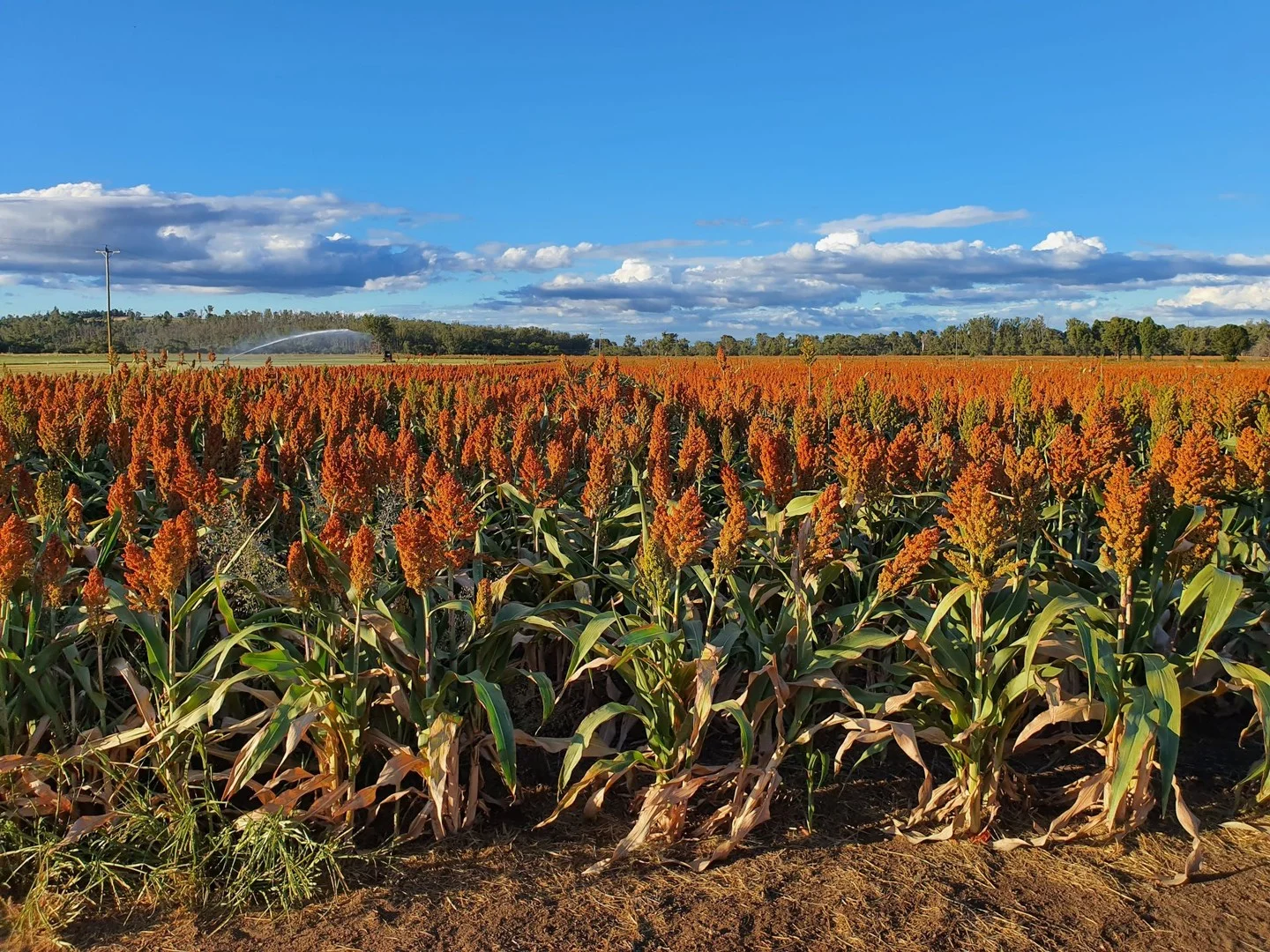 206 Mondure Crossing Road, Glan Devon QLD 4615