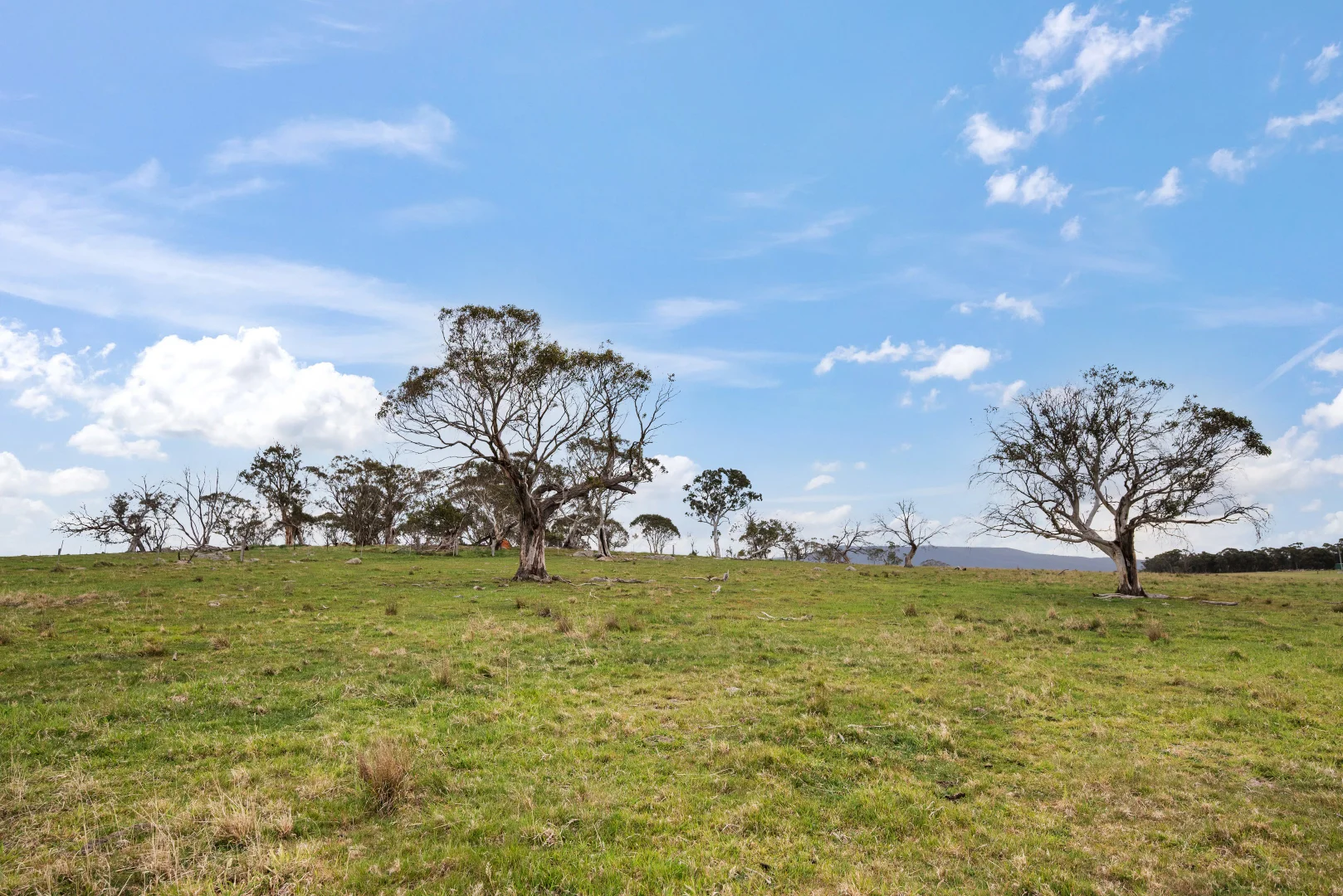 Additional image 21 of 536 Cooma Road, Braidwood NSW 2622