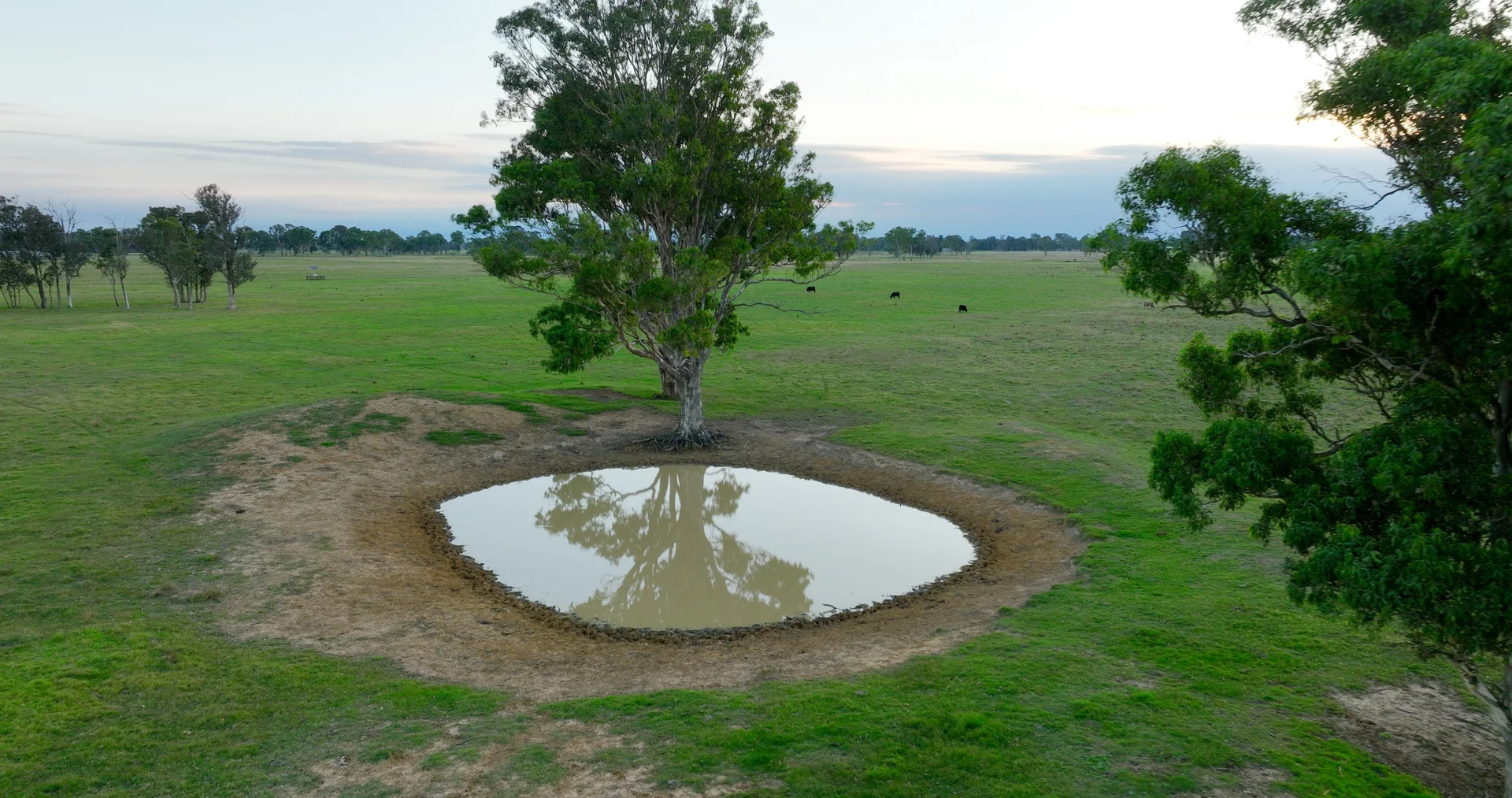 Additional image 16 of 880 Fernbank-Lindenow South Road, Fernbank VIC 3864