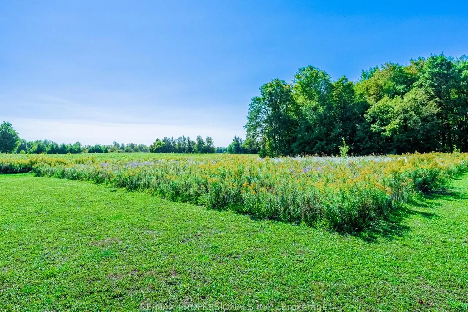 Additional image 14 of 13908 Trafalgar Road