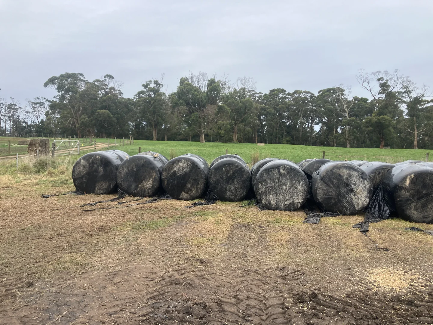 Additional image 12 of 67 Myrtle Grove Road, Wiltshire TAS 7321