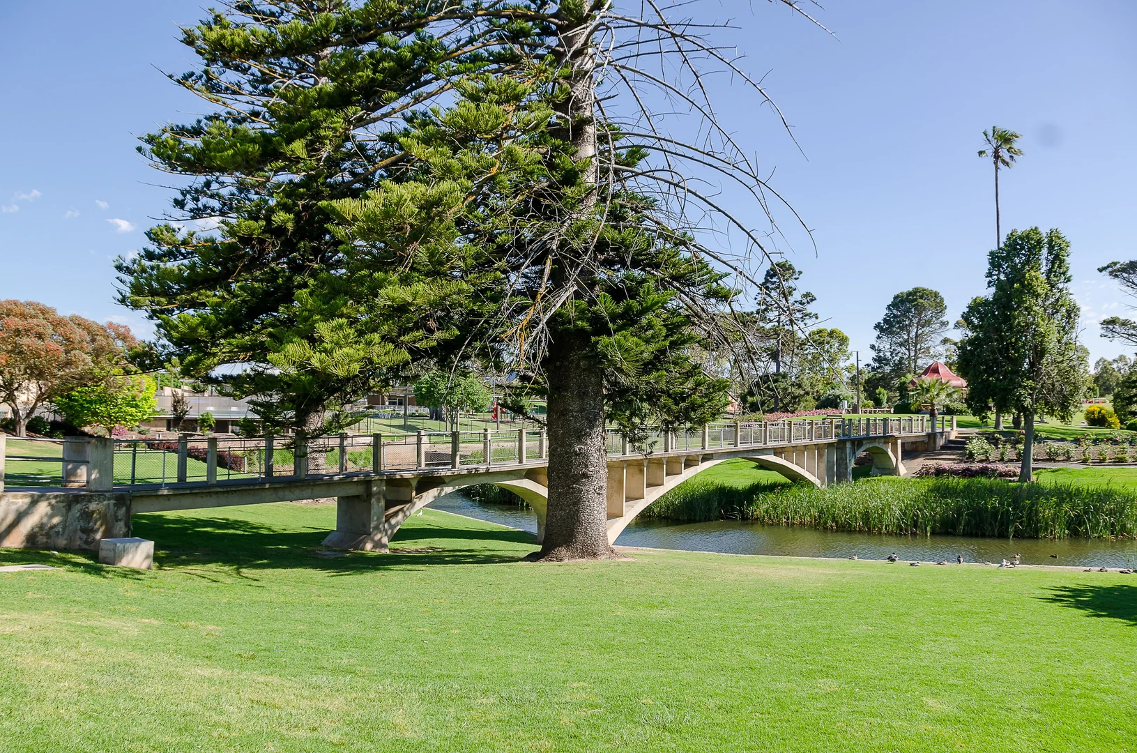 Additional image 22 of 7, 11 Berwick Crescent, Strathalbyn SA 5255