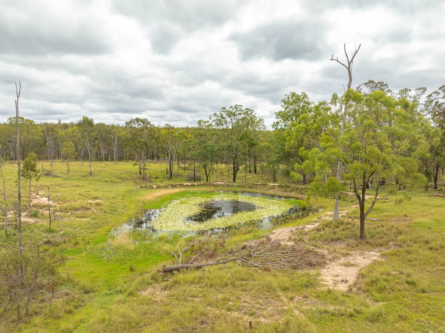 Additional image 19 of 754 Pedersens Road, Dangore QLD 4610