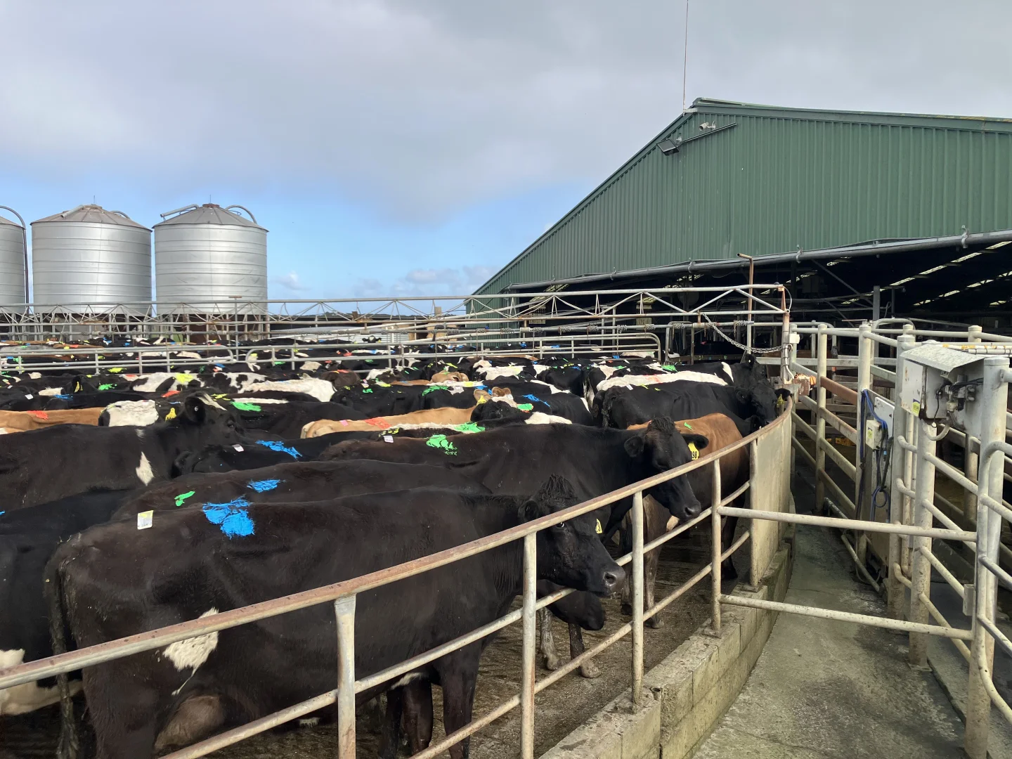 Additional image 19 of 301 Woolnorth Road, Woolnorth TAS 7330