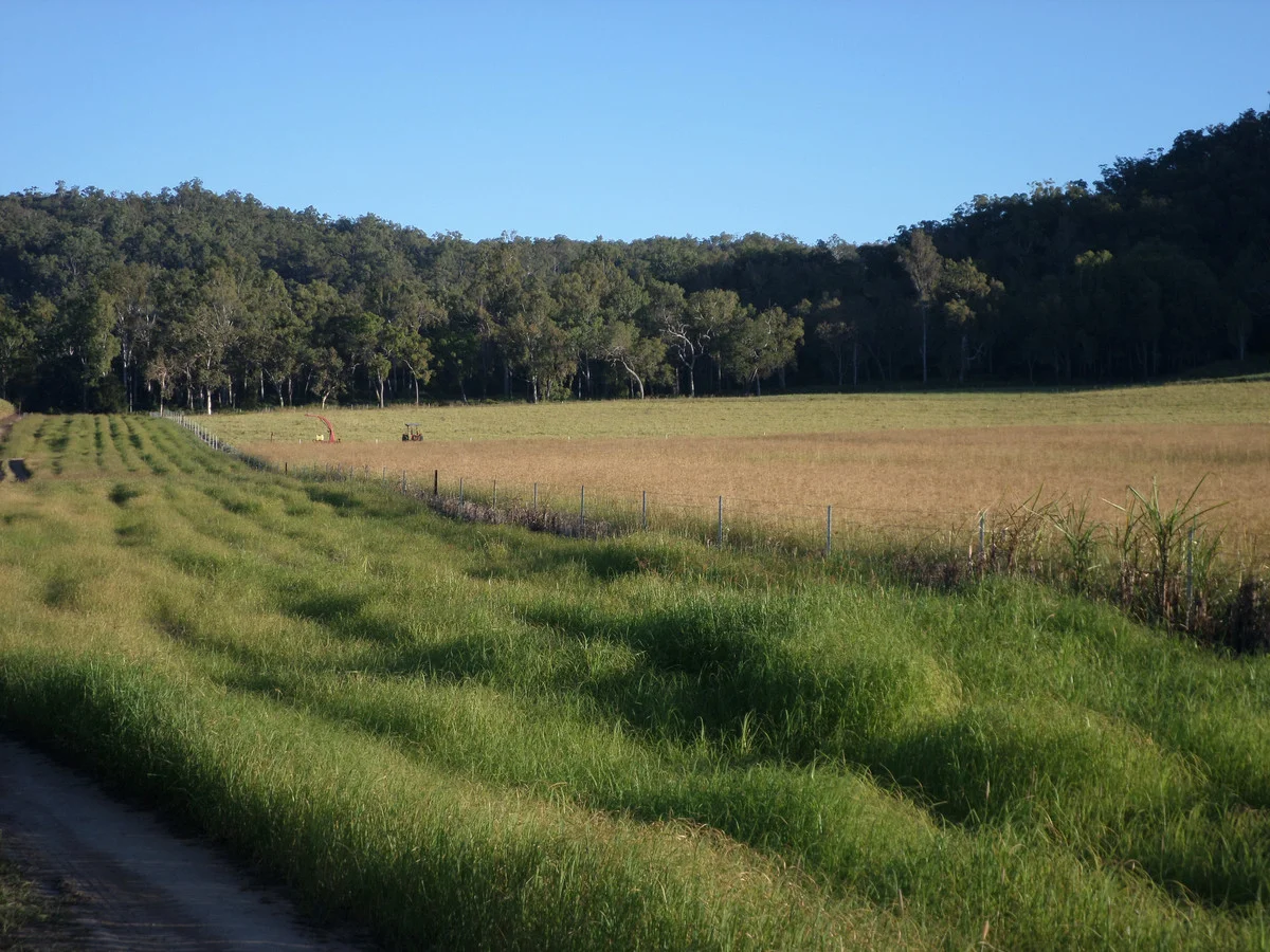 Additional image 14 of 109 Neilsen Omands Road, Septimus QLD 4754