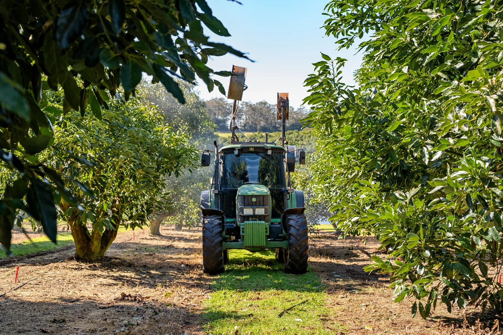 Additional image 19 of 'Ravensbourne Ridge' 45 Blanck Road, Ravensbourne QLD 4352