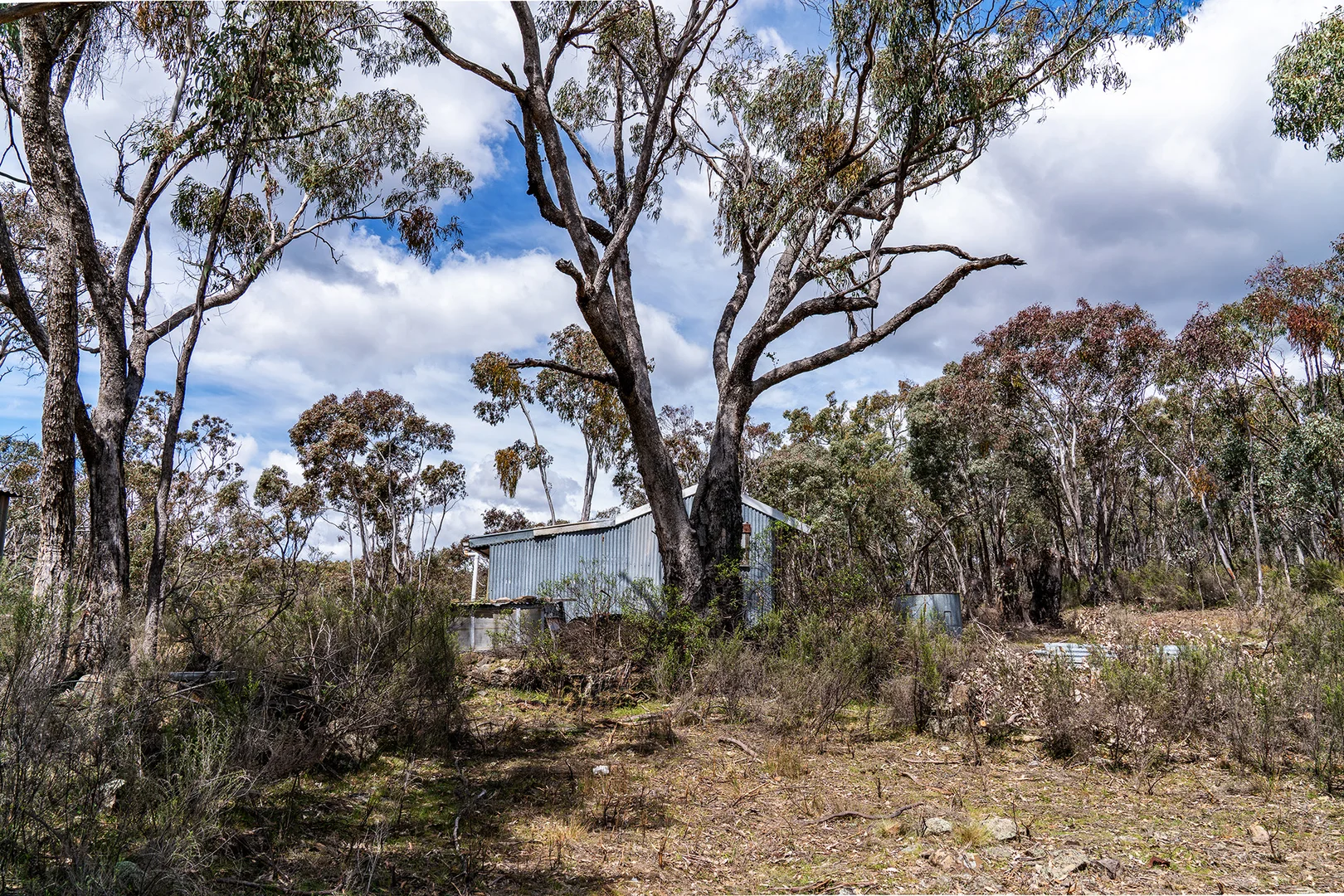 Additional image 6 of 125 Dirt Hole Creek Road, Mudgee NSW 2850