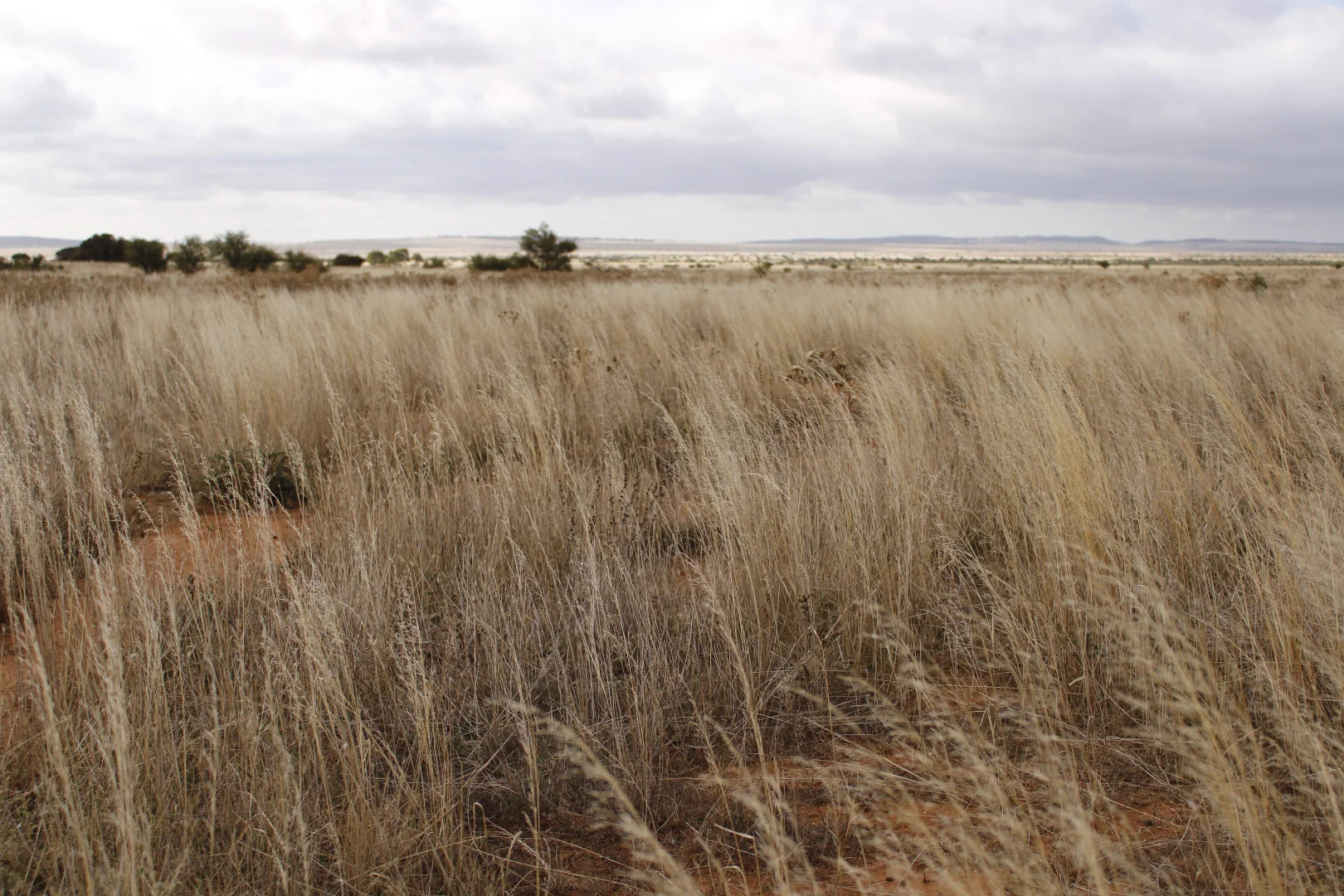 Additional image 58 of 1860 Cleary Road, Terowie SA 5421