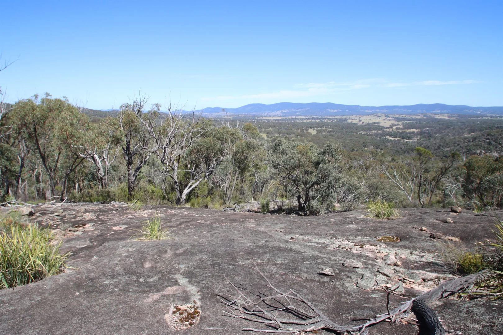 Additional image 10 of Lot 1 Brusharbers Road, Tenterfield NSW 2372