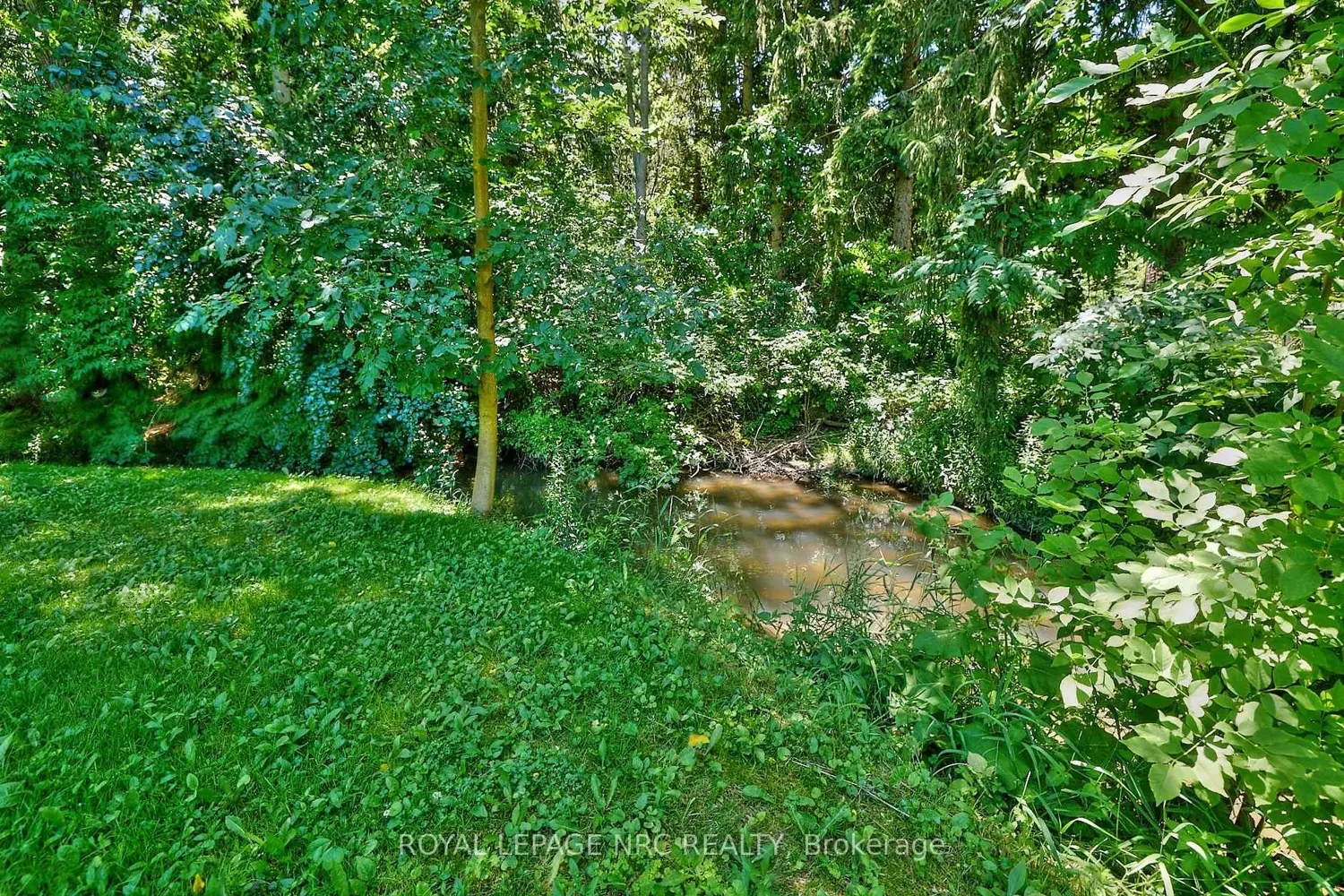 Additional image 20 of 1171 Mcnab Road