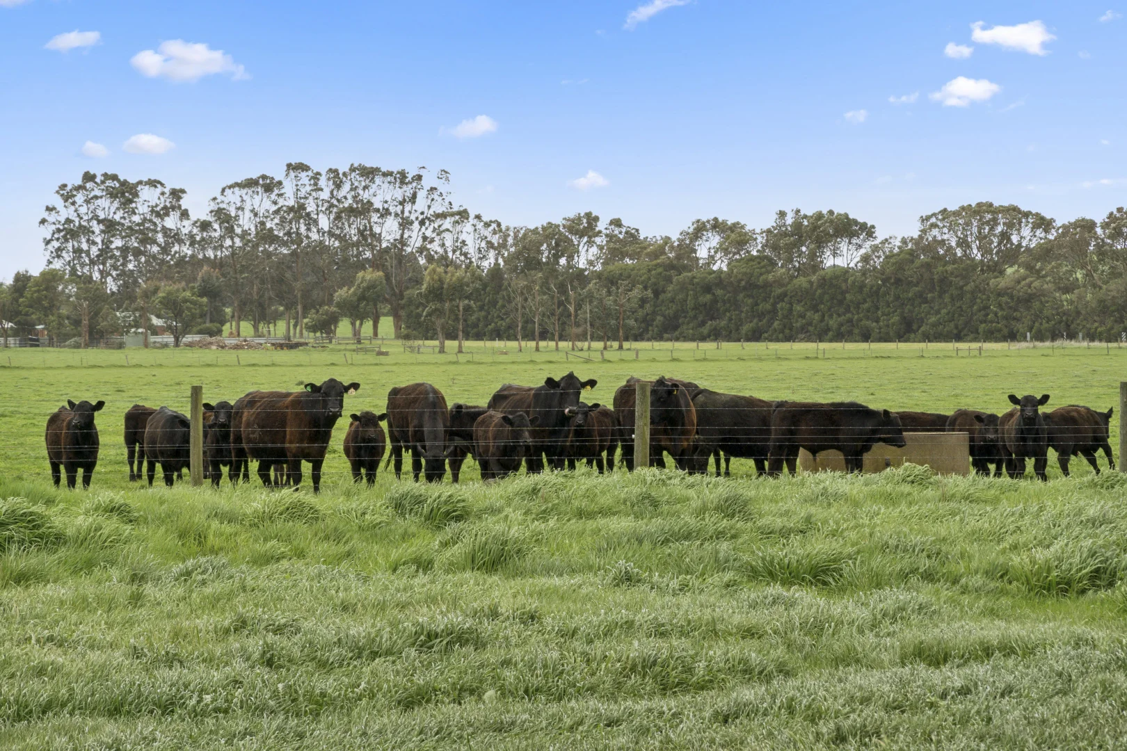 Additional image 20 of 620 Larpent Rd, Larpent VIC 3249