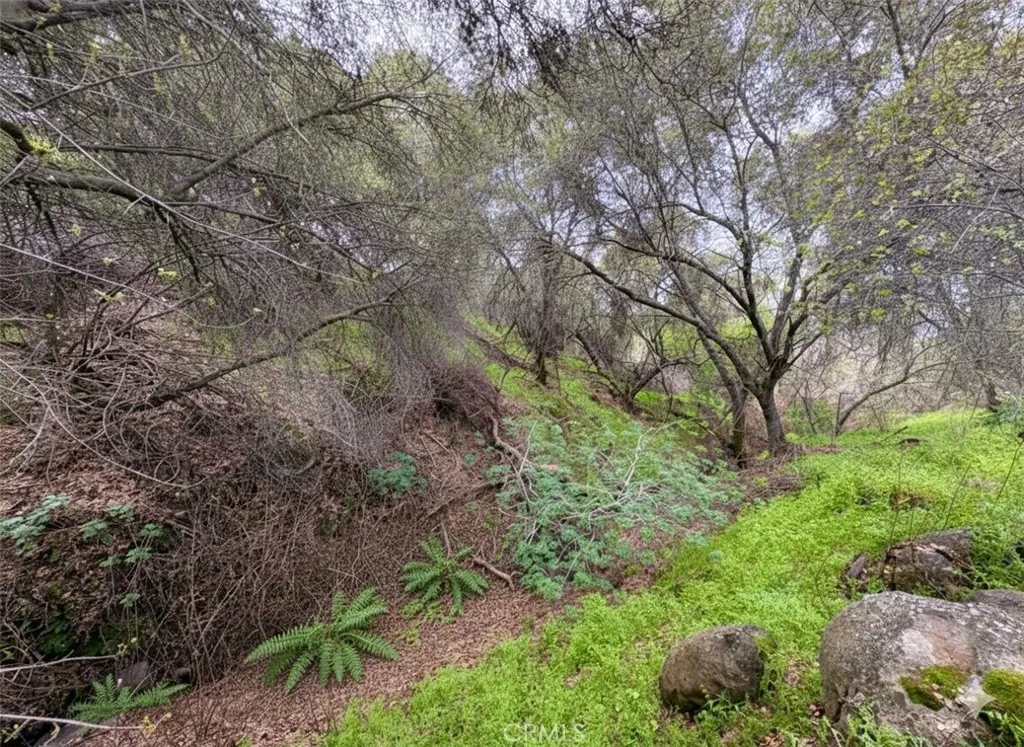 Additional image 73 of 39313 Squaw Valley, Squaw Valley, CA 93675