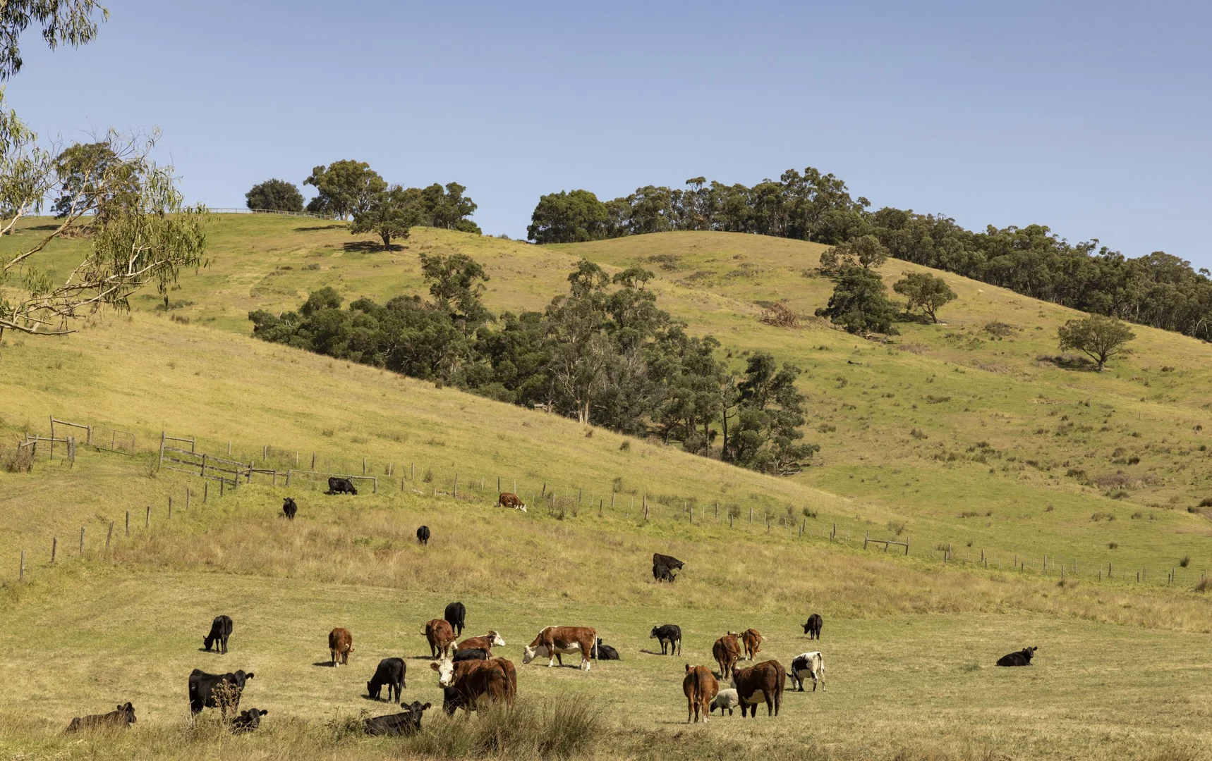 Additional image 24 of 270 Morrison Road, Pakenham Upper VIC 3810