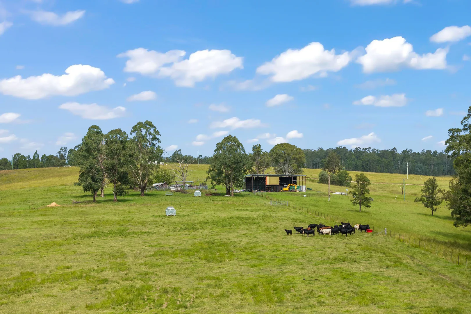 Additional image 10 of 771 Ewingar Road, Ewingar NSW 2469