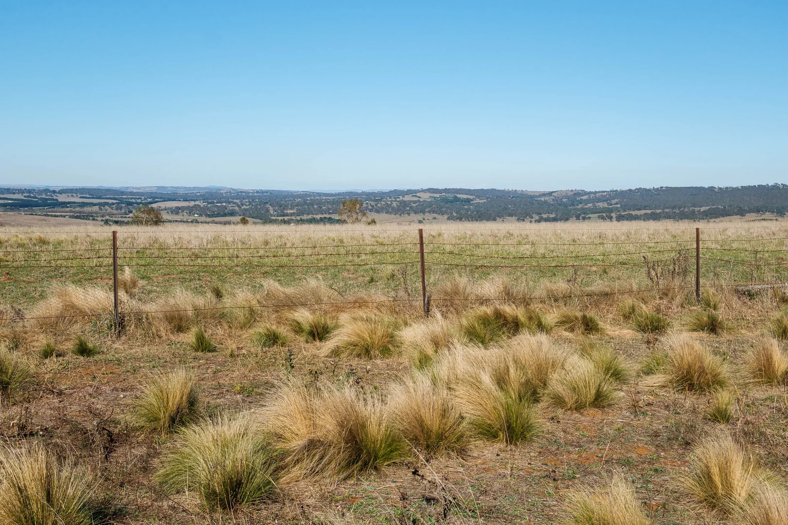 Additional image 4 of Lot 2/175 Pomeroy Mill Ford Road, Mummel NSW 2580