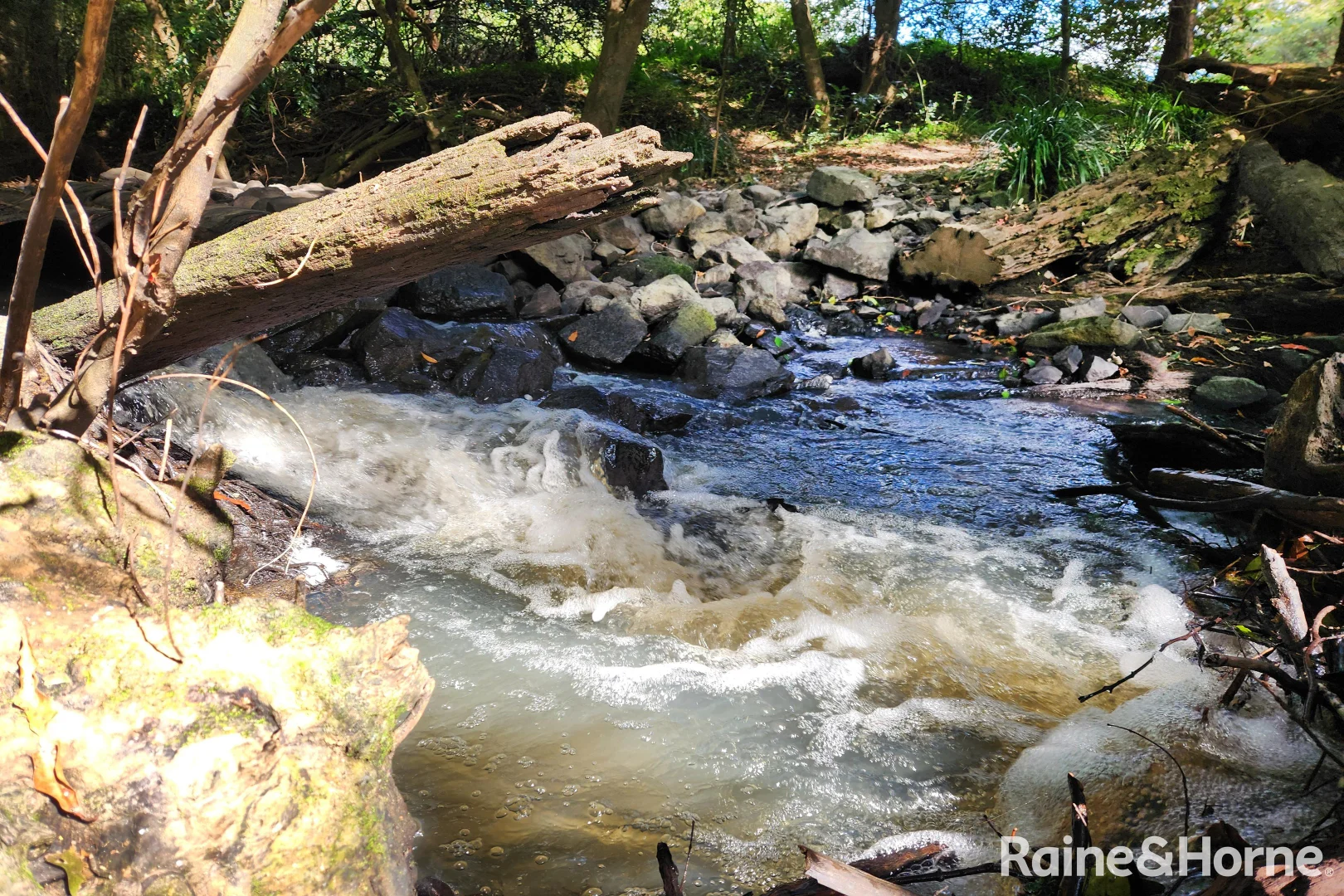 Additional image 14 of 163 Cedar Creek Road, Belli Park QLD 4562