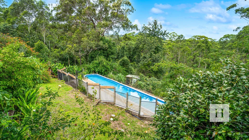 Additional image 22 of 426 Mount Coxcombe Road, Upper Lansdowne NSW 2430