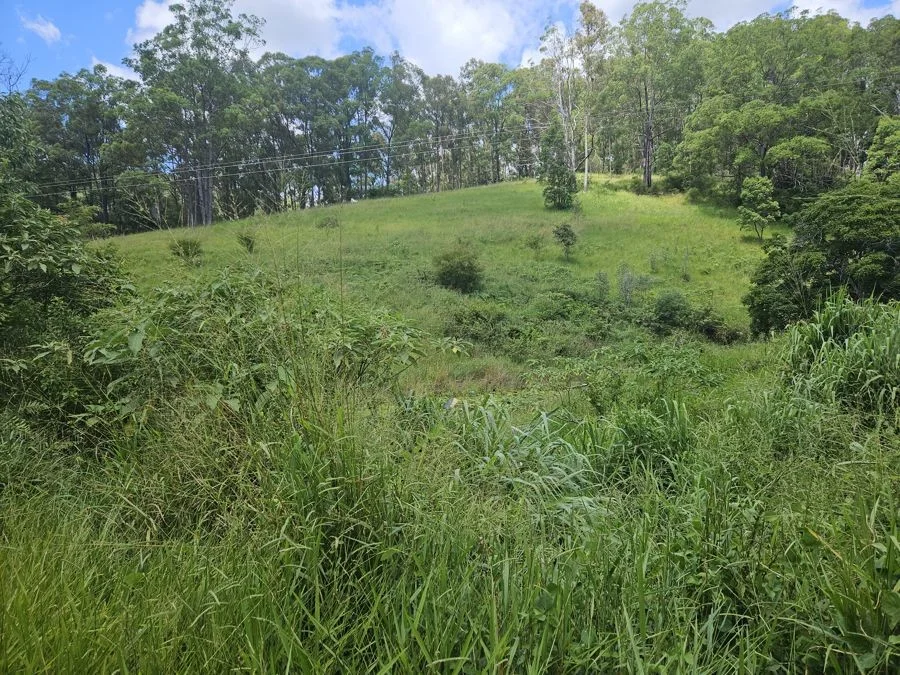 Additional image 10 of 113 Antimony Road, Neerdie QLD 4570