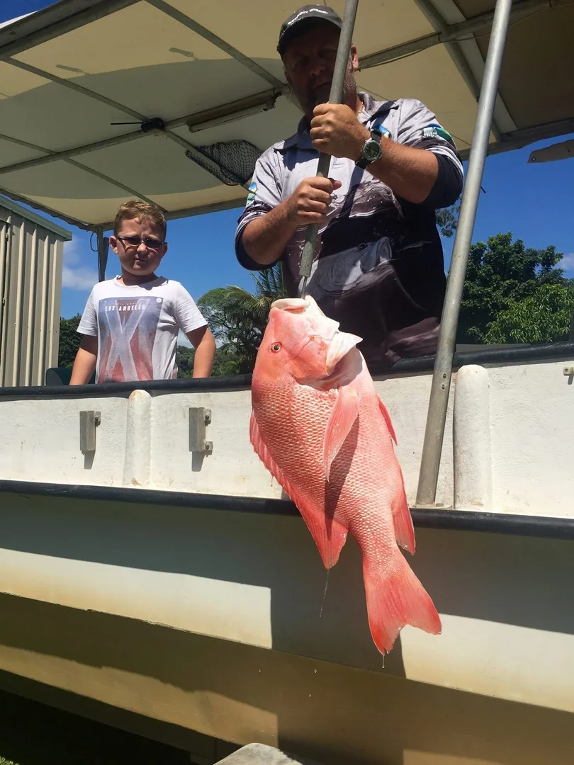 Additional image 22 of 18-20 Dagmar Street, Daintree QLD 4873