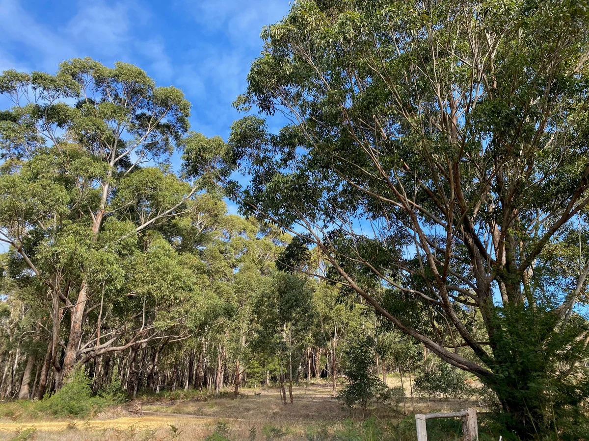 Additional image 8 of 210 Lens Road, Toorloo Arm VIC 3909