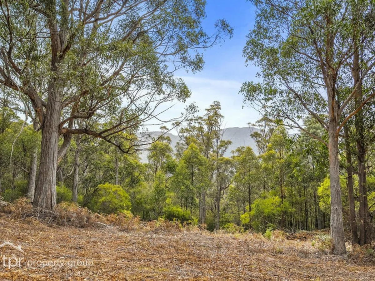 Additional image 2 of Lot 1 Bygraves Road, Crabtree TAS 7109