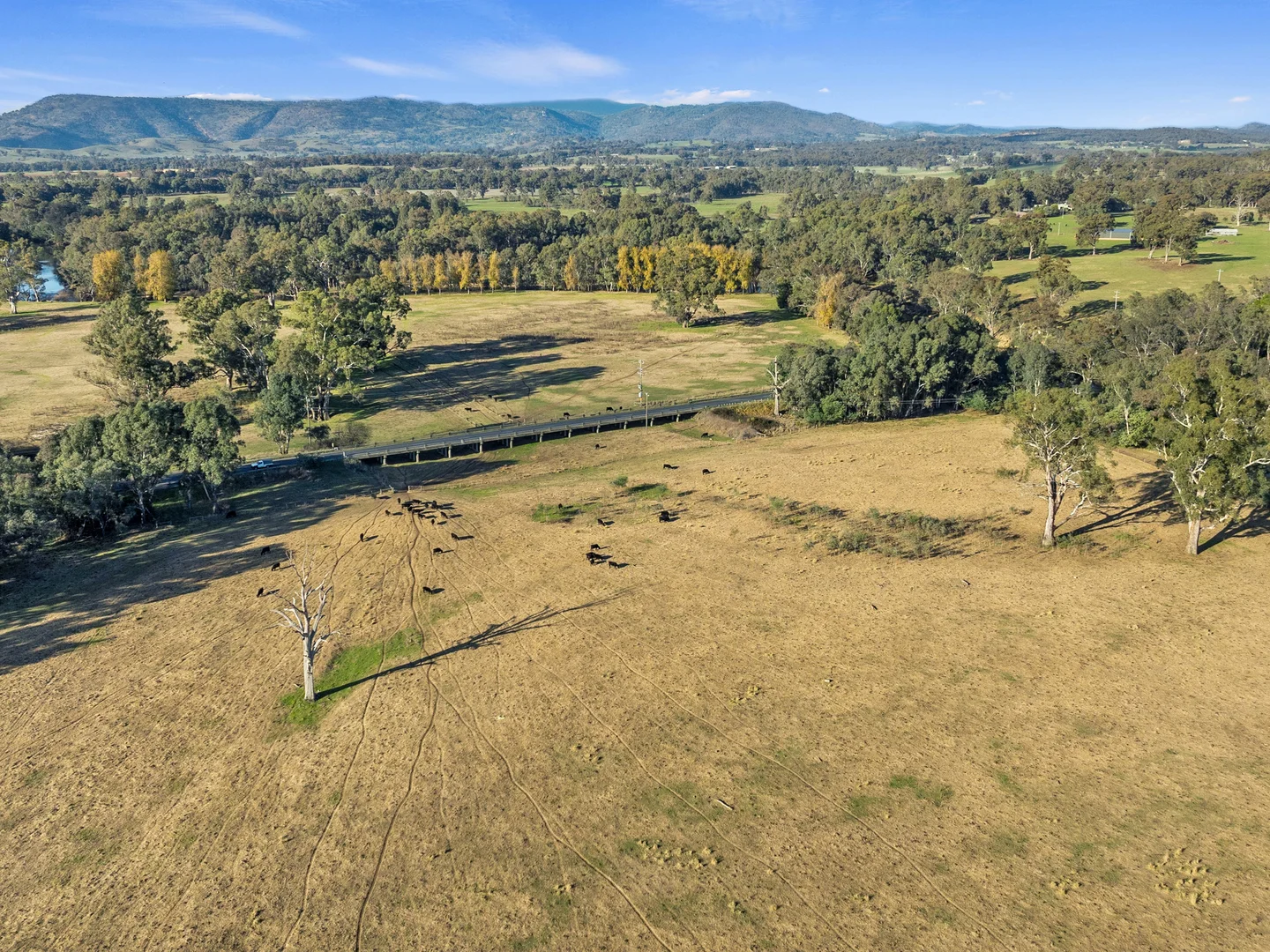 Additional image 5 of 1 Tierney Street, Seymour VIC 3660