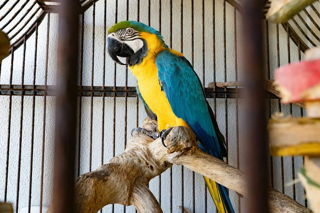 Additional image 28 of 96 Reid Rd, Wongaling Beach QLD 4852