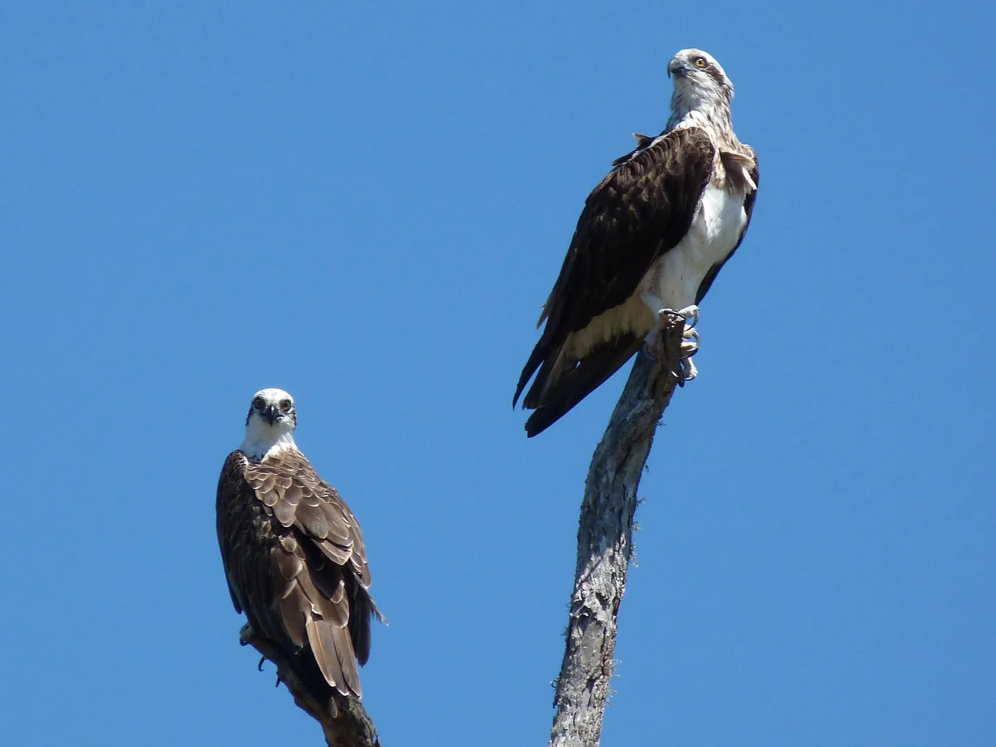 Additional image 21 of Notch Point Road, Ilbilbie QLD 4738