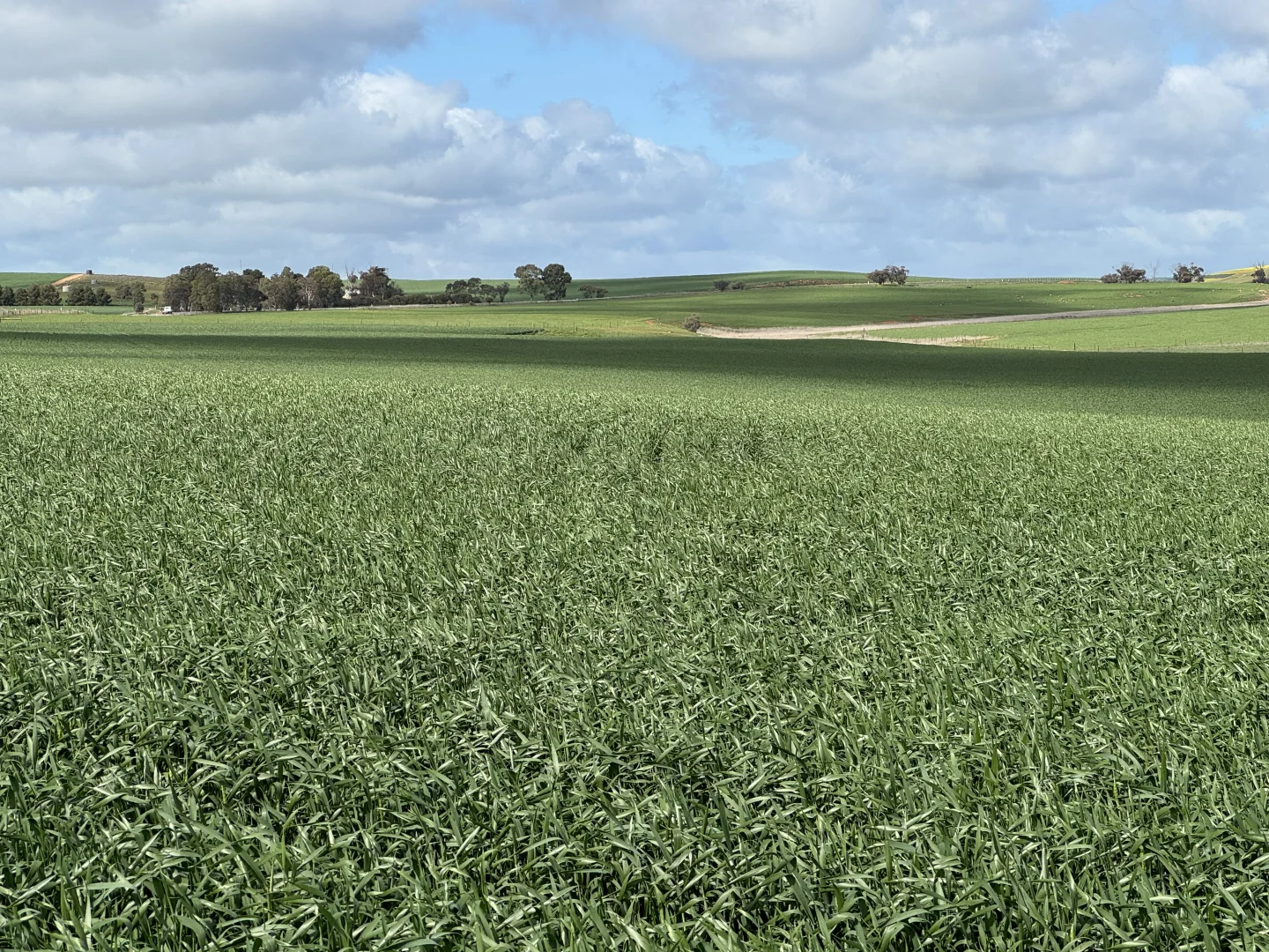 Additional image 5 of 2489 R M Williams Way, Spalding SA 5454