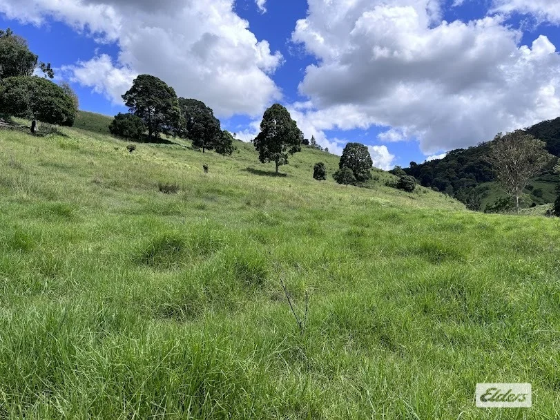 Additional image 2 of 155 Vidoni Road, Mount Delaney QLD 4514