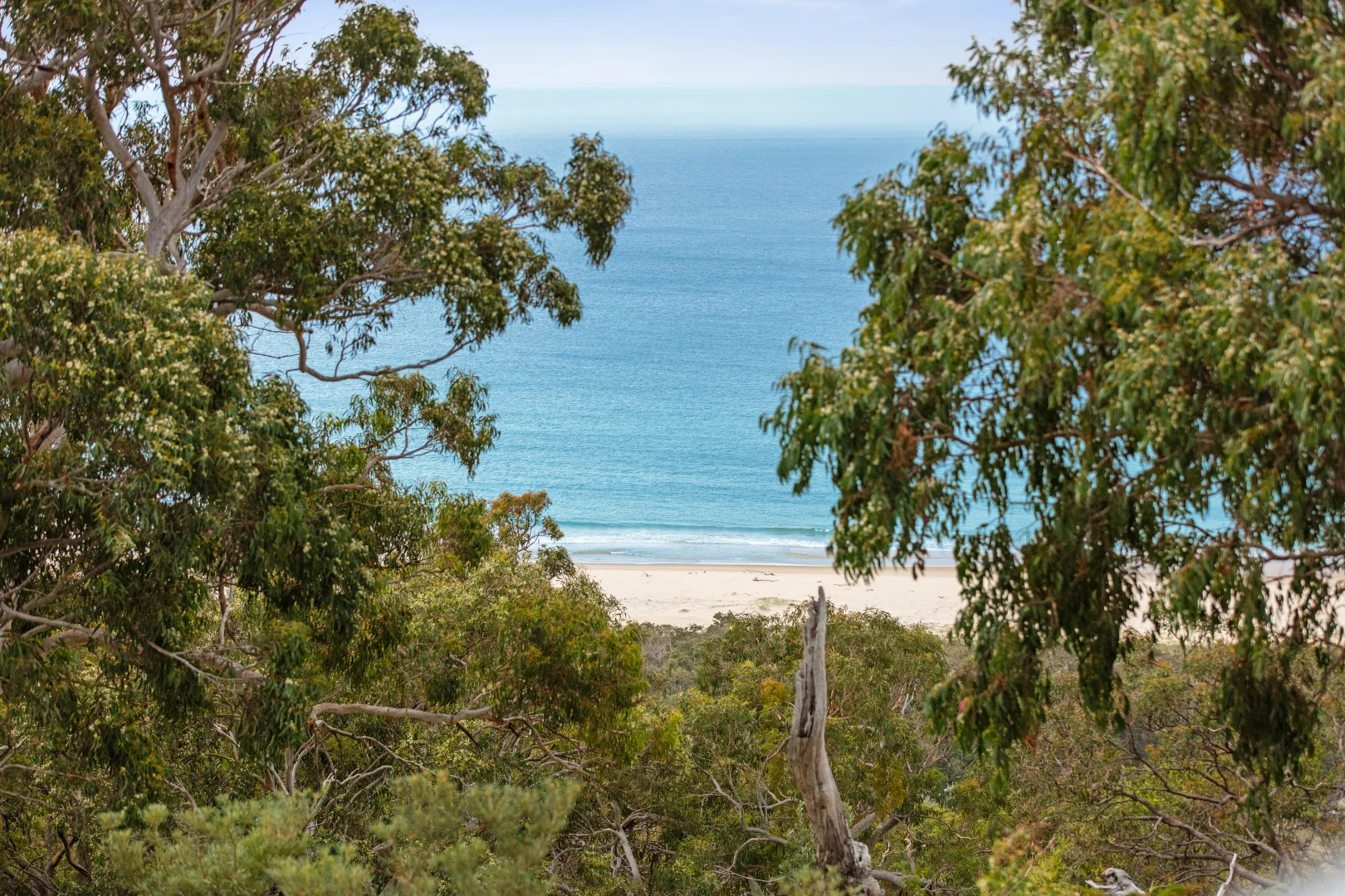 Additional image 24 of 85 Tramican Street, Point Lookout QLD 4183