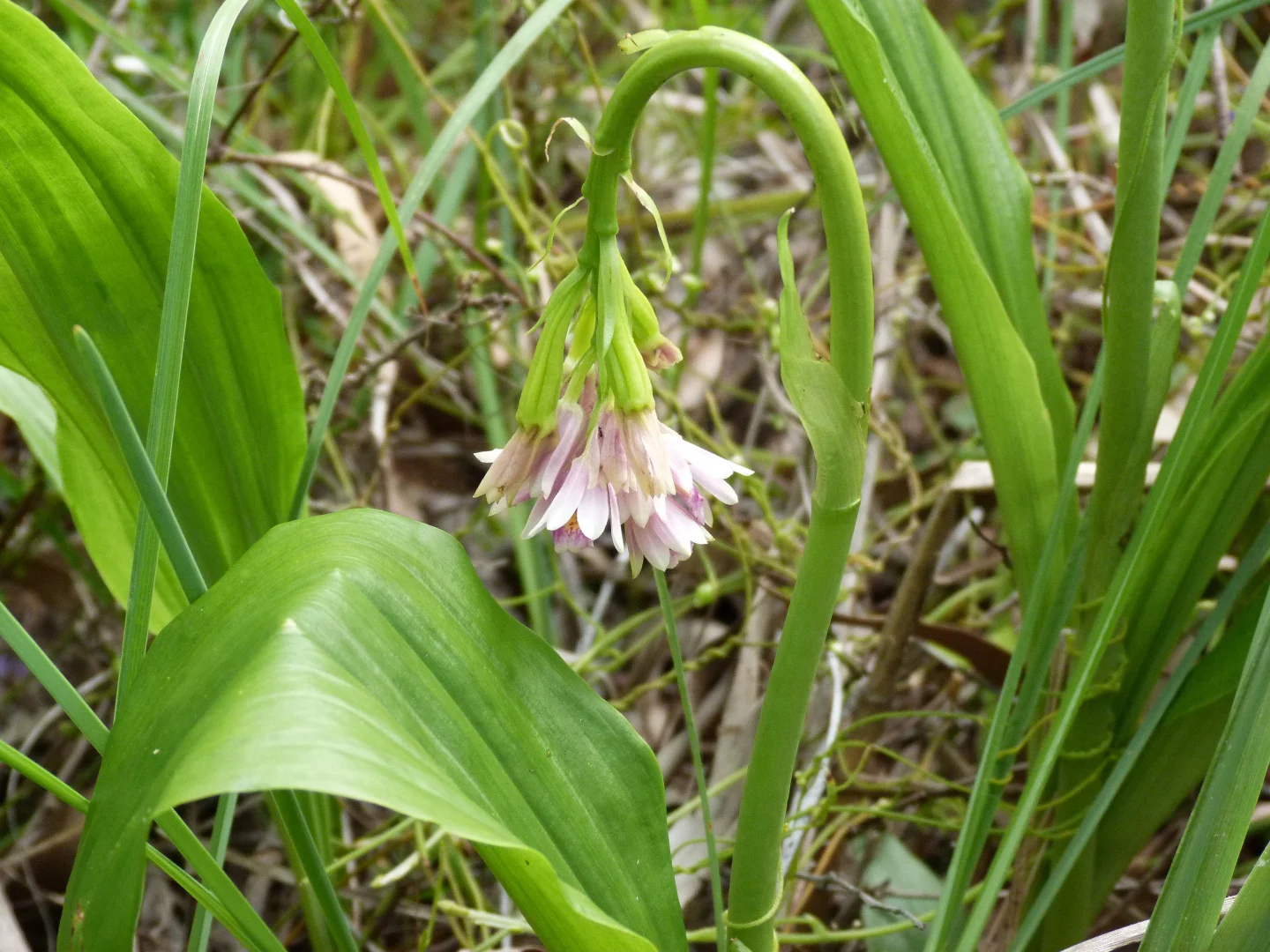 Additional image 33 of Notch Point Road, Ilbilbie QLD 4738