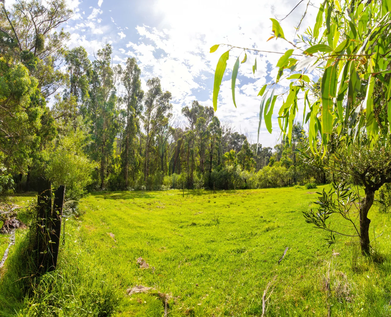 Additional image 15 of Lot 4 Braidwood Road, Sassafras NSW 2622