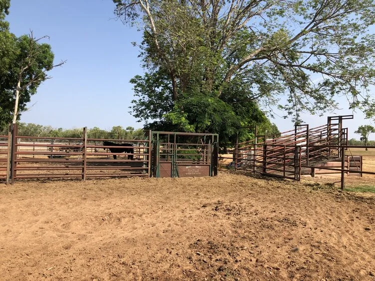 Additional image 19 of 240 Cossack Road, Katherine NT 0850