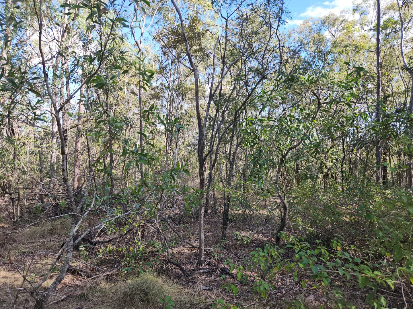 Additional image 4 of Lot 5 Duckpond Road, Moolboolaman QLD 4671